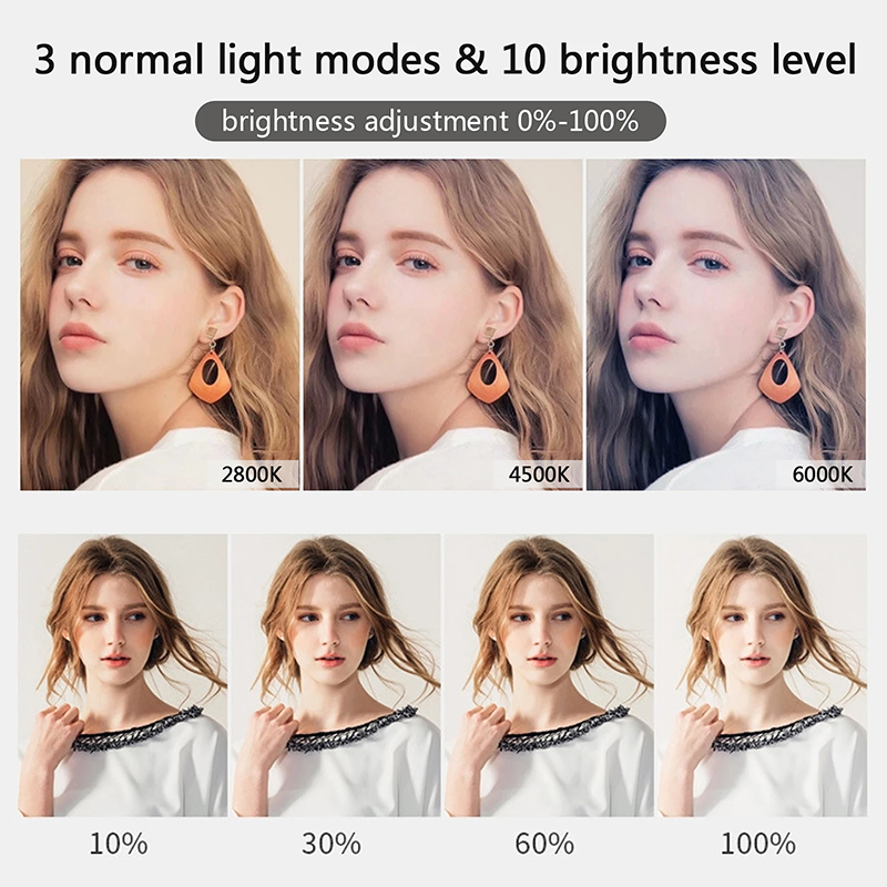 10 インチ LED Selfie リングライトサークル補助 - Photography Lighting Circle のレビューと価格