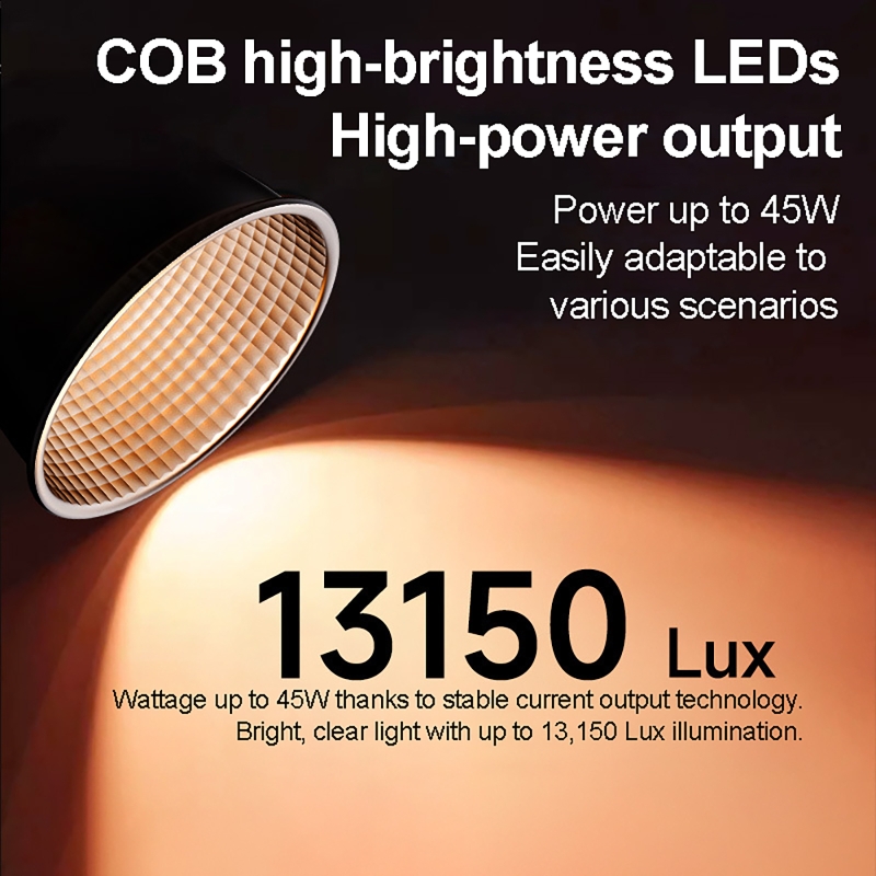 60W RGBビデオライト ポータブルLED撮影スタジオライ - Photography Lighting Rgb のレビューと価格