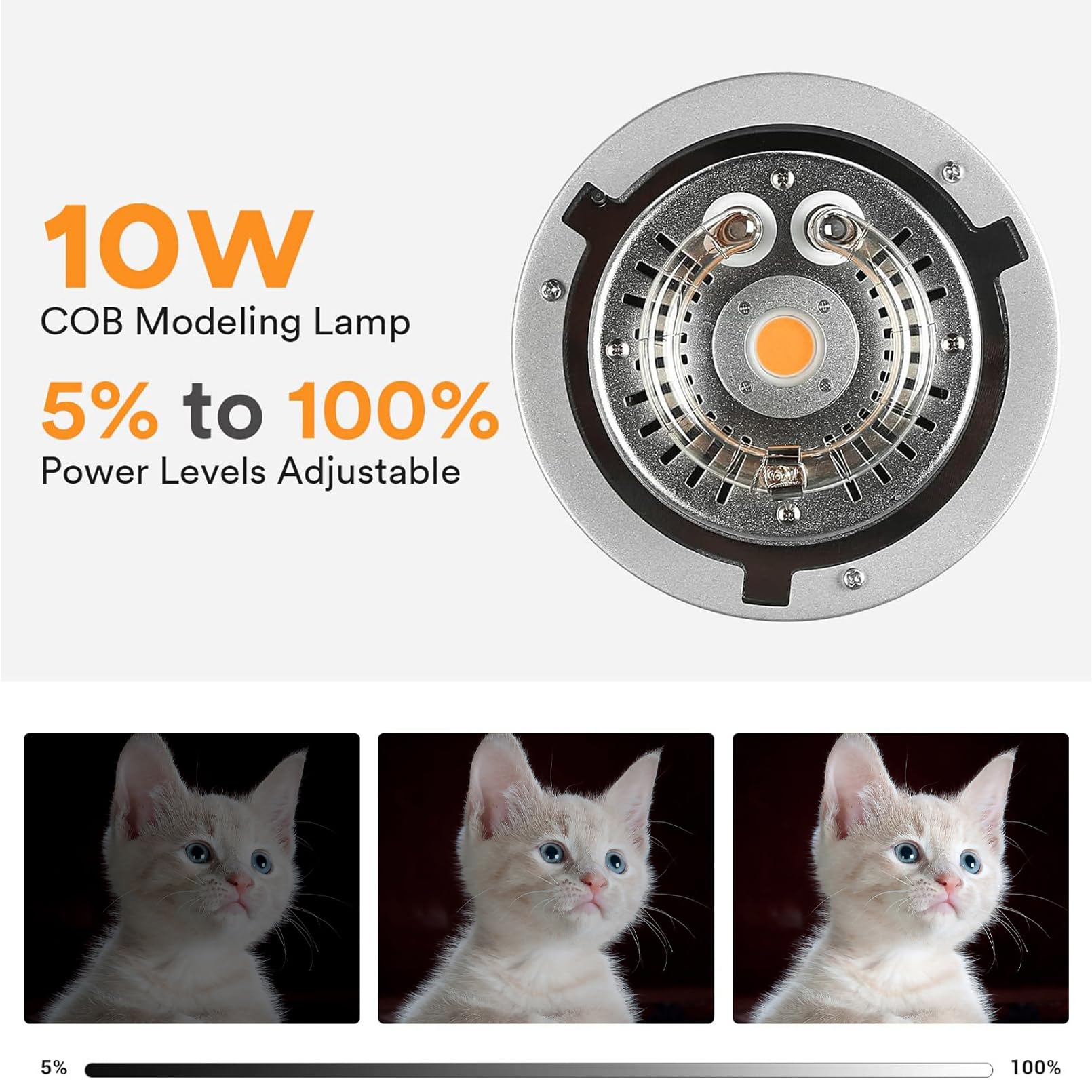 ゴドックス MS200V スタジオストロボフラッシュライト  - Photography Lighting For Portraits のレビューと価格